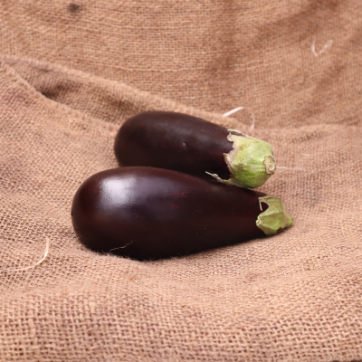 Aubergine Fra