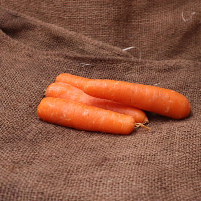 Carotte FRA