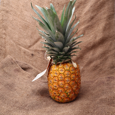 Ananas avion Equateur