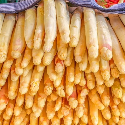 Asperge blanche botte PEROU