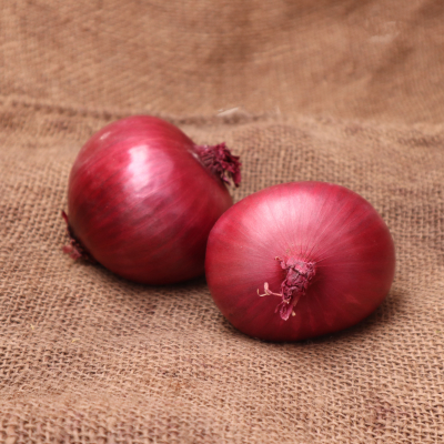 Oignon rouge 