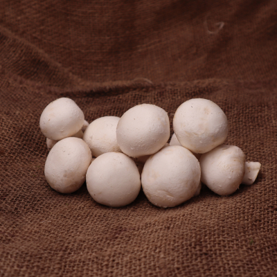 Champignon de Paris moyen