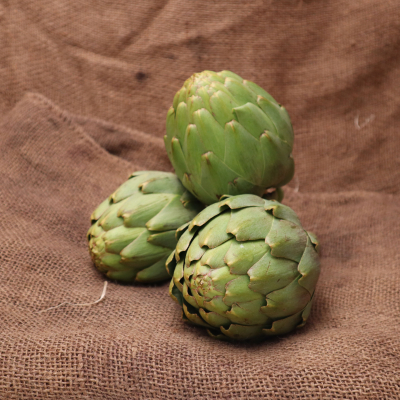 Artichaut Pièce Castel 13